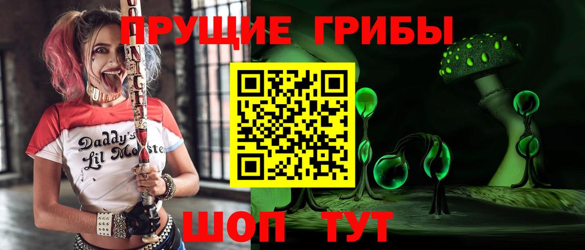 Галлюциногенные грибы Magic Shrooms  Псилоцибиновые грибы GOLDEN TEACHER  Вход с VPN  Донской 